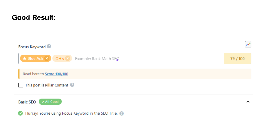 On-page SEO for a local service business across multiple city pages